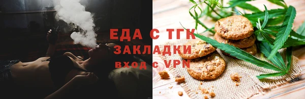 хмурый Алексин