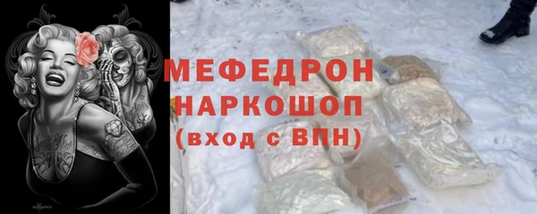 индика Карпинск