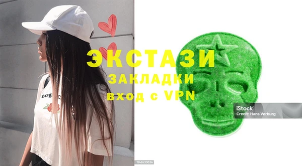 хмурый Алексин