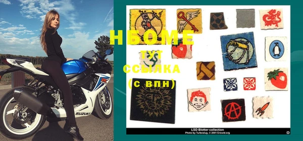 хмурый Алексин
