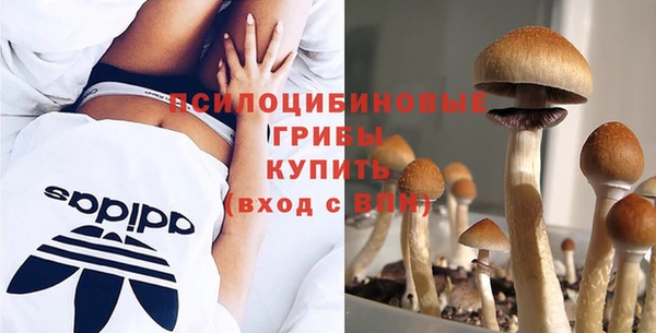 героин Алзамай