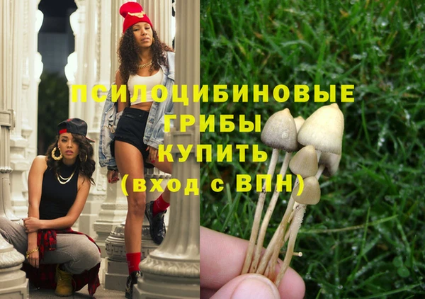 хмурый Алексин