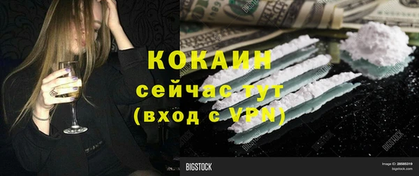хмурый Алексин