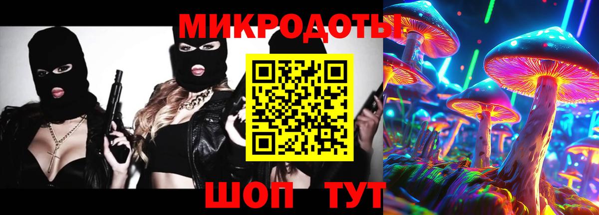 Новороссийск  Псилоцибиновые грибы прущие грибы  Галлюциногенные грибы Cubensis  Вход с VPN 