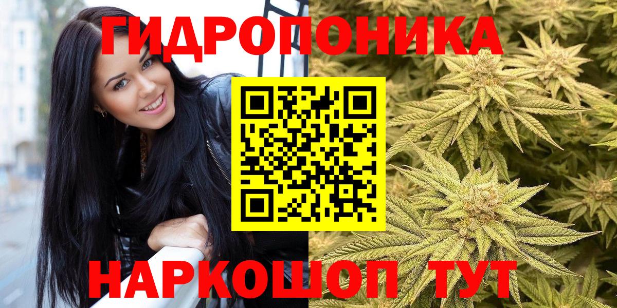 Бошки марихуана AK-47  Вход с VPN  Новороссийск  Канабис Ganja  МАРИХУАНА план 